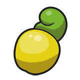 シュカのみ